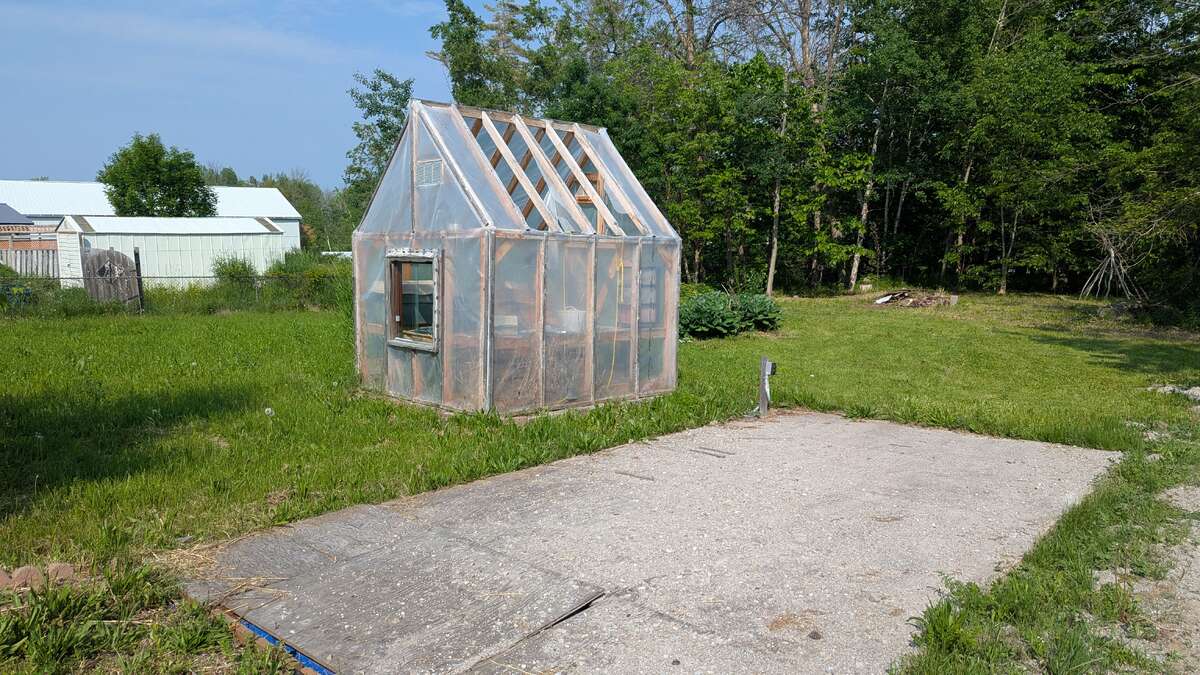 Exterior backyard