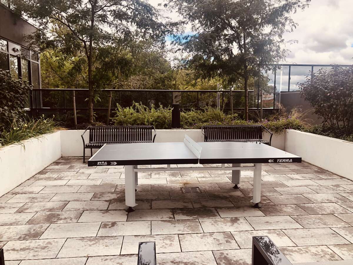 ping pong table in recreational area party room and dining toom