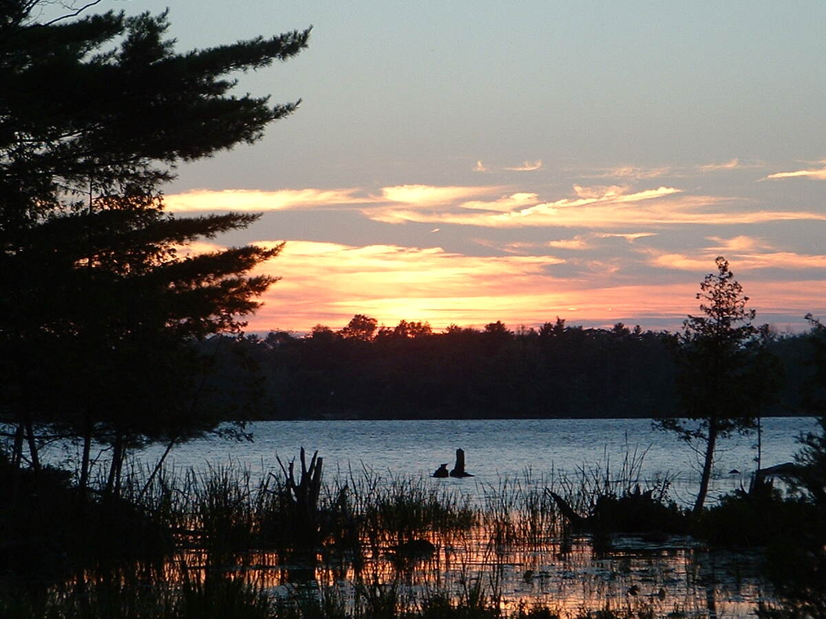 sunset view from back bay