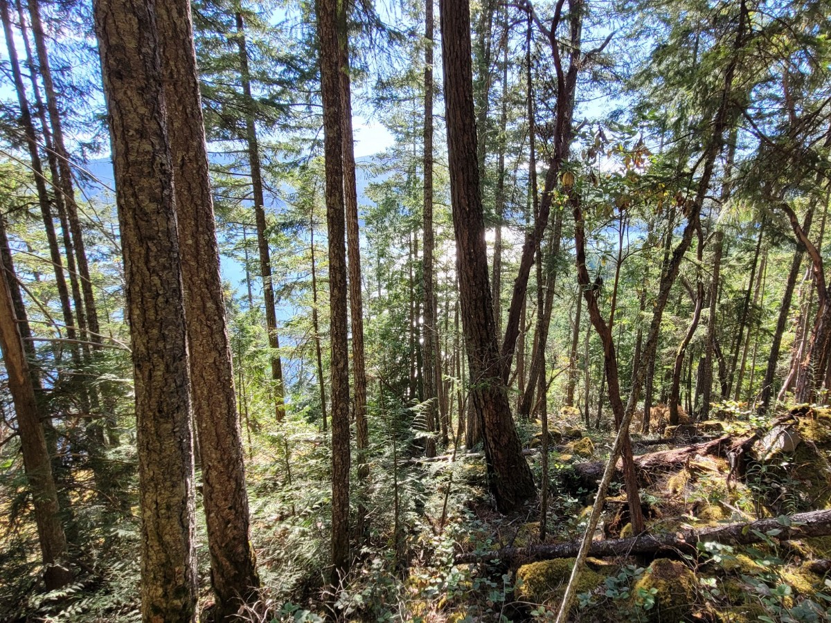 Sandy Hook Private One of One View Lot