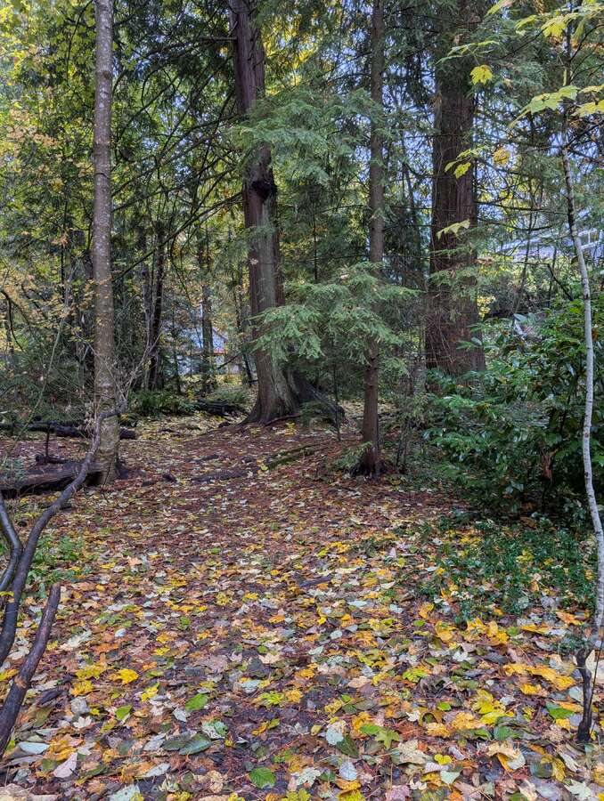Private Family Retreat Backing Onto Doran Park