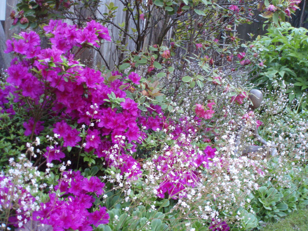 Unfinished Basement, 14 foot ceiling