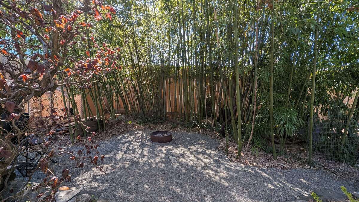 Timber bamboo and fire pit.