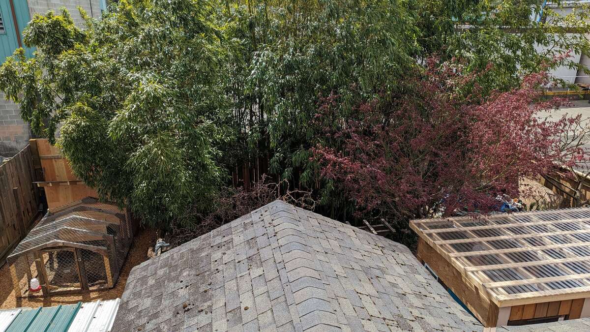 back yard from roof.