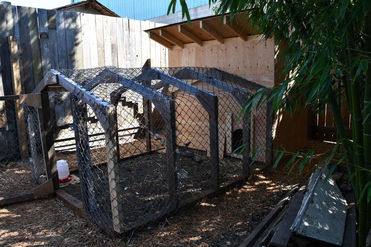Chicken coop.