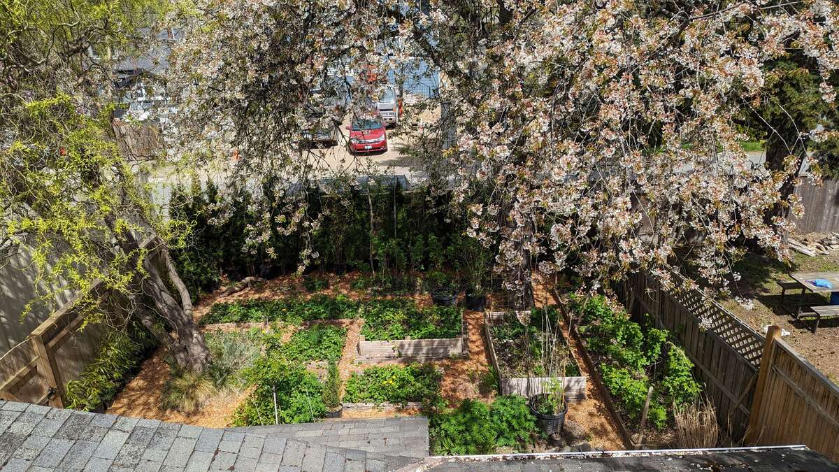 front yard from roof.