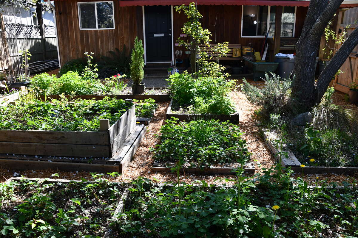 Another view looking at the front door from the garden.