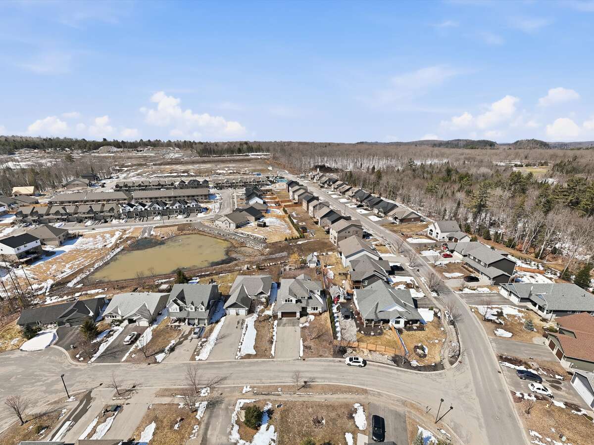 Three raised bed and corner perennial pollinator garden