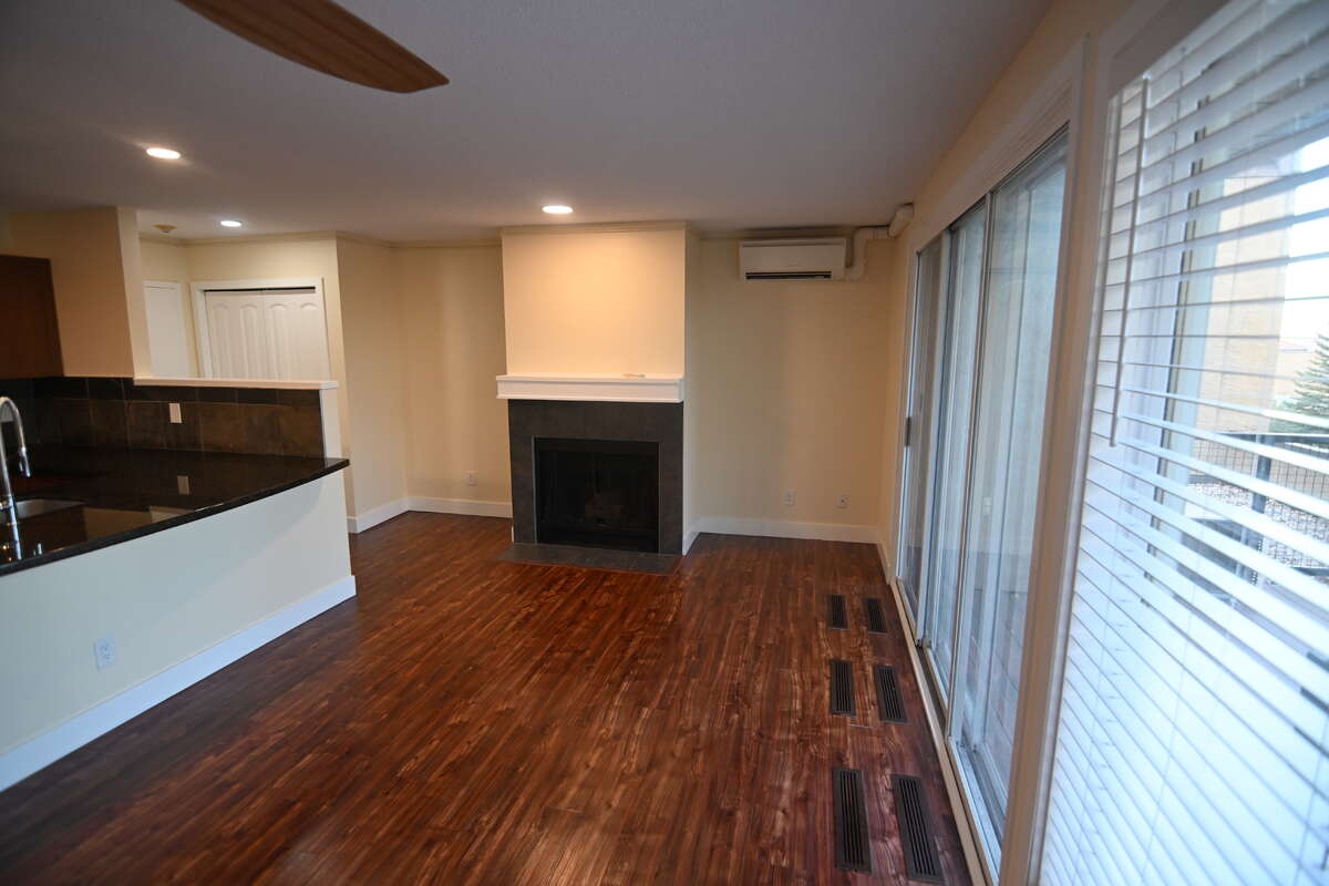 Wood Burning Fireplace and Air Conditioner