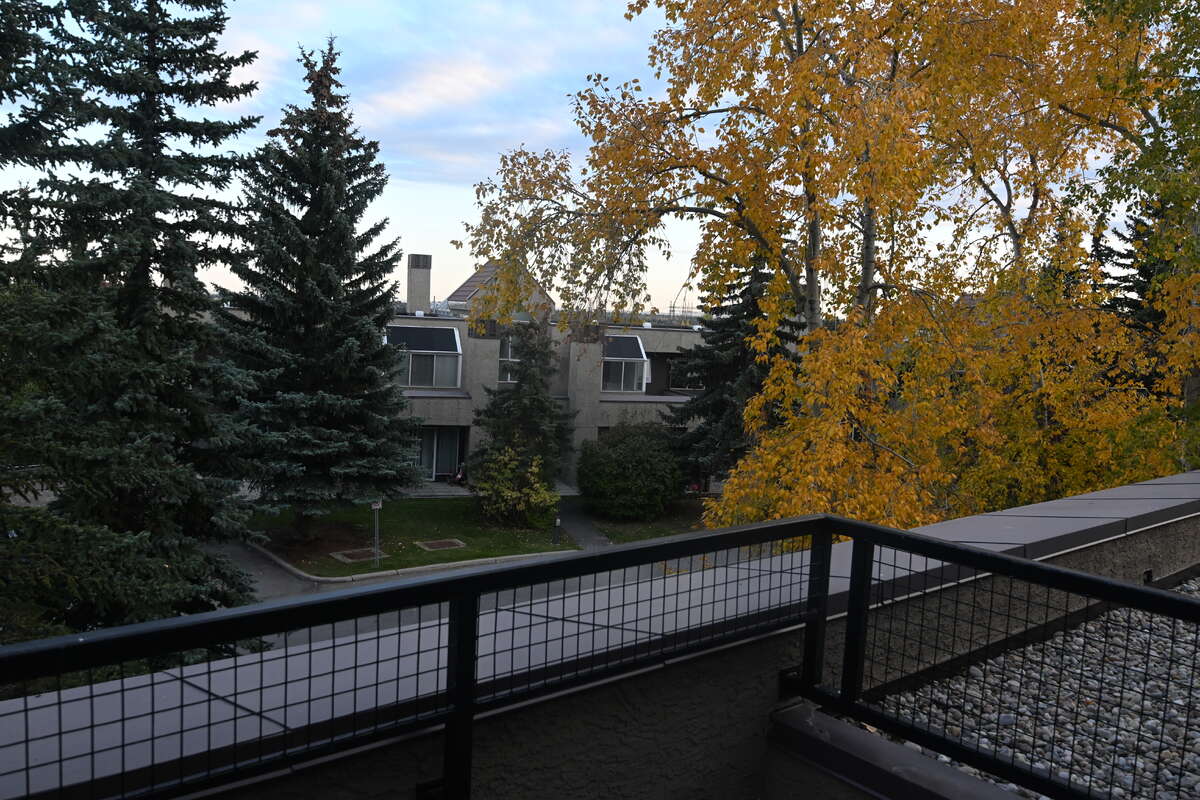 View from Deck