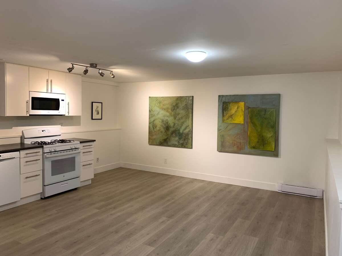 Lower level great room and kitchen