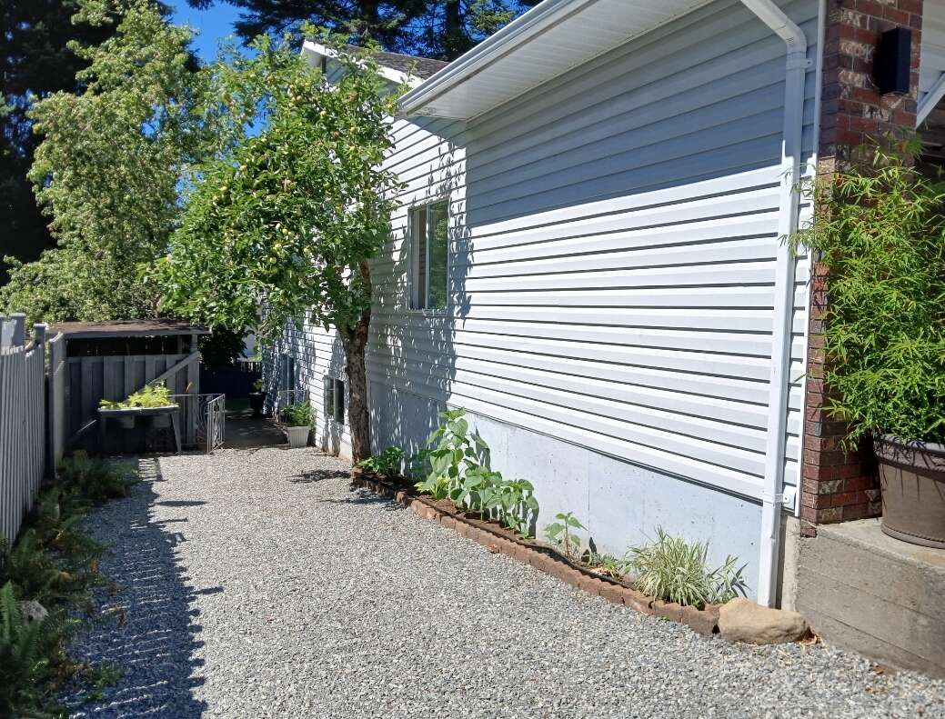 South elevation of home, with apple and pear trees leading to back yard and walk-out suite entry.