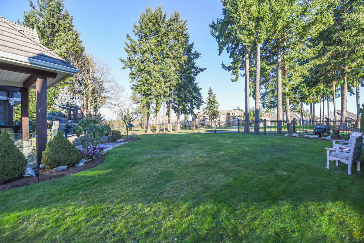 View of Yard From Westside