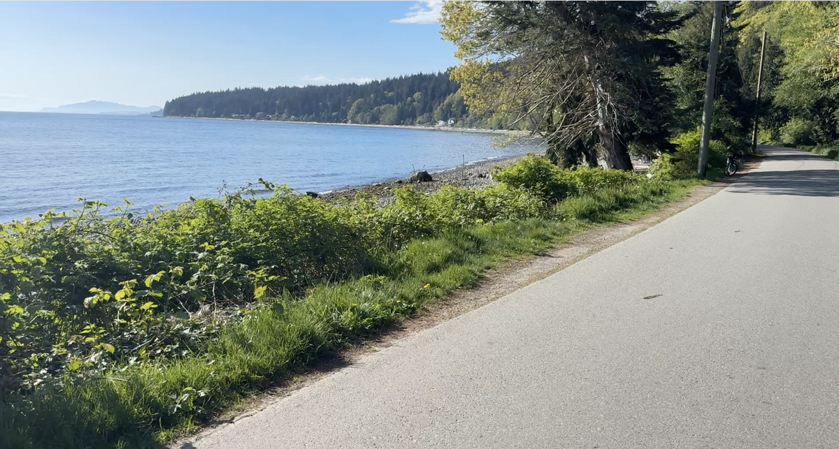 Scenic oceanfront walking route along the Bonniebrook shoreline