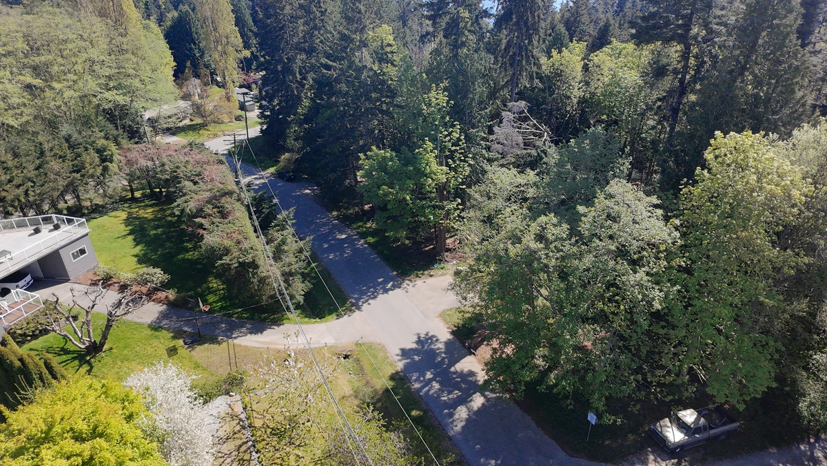 Quiet Bonniebrook street in an established, sought-after neighbourhood