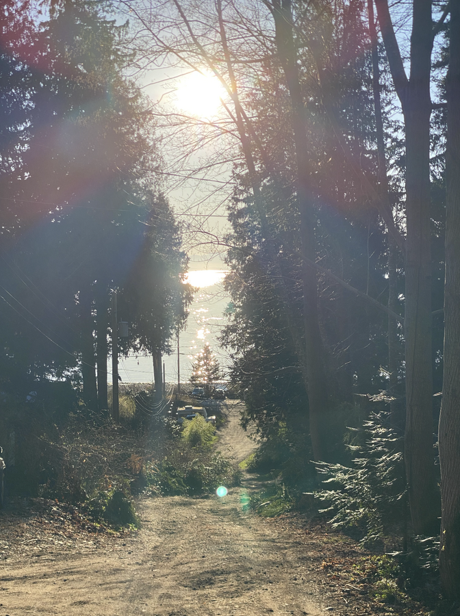 A short walk through nature leads you toward the shoreline