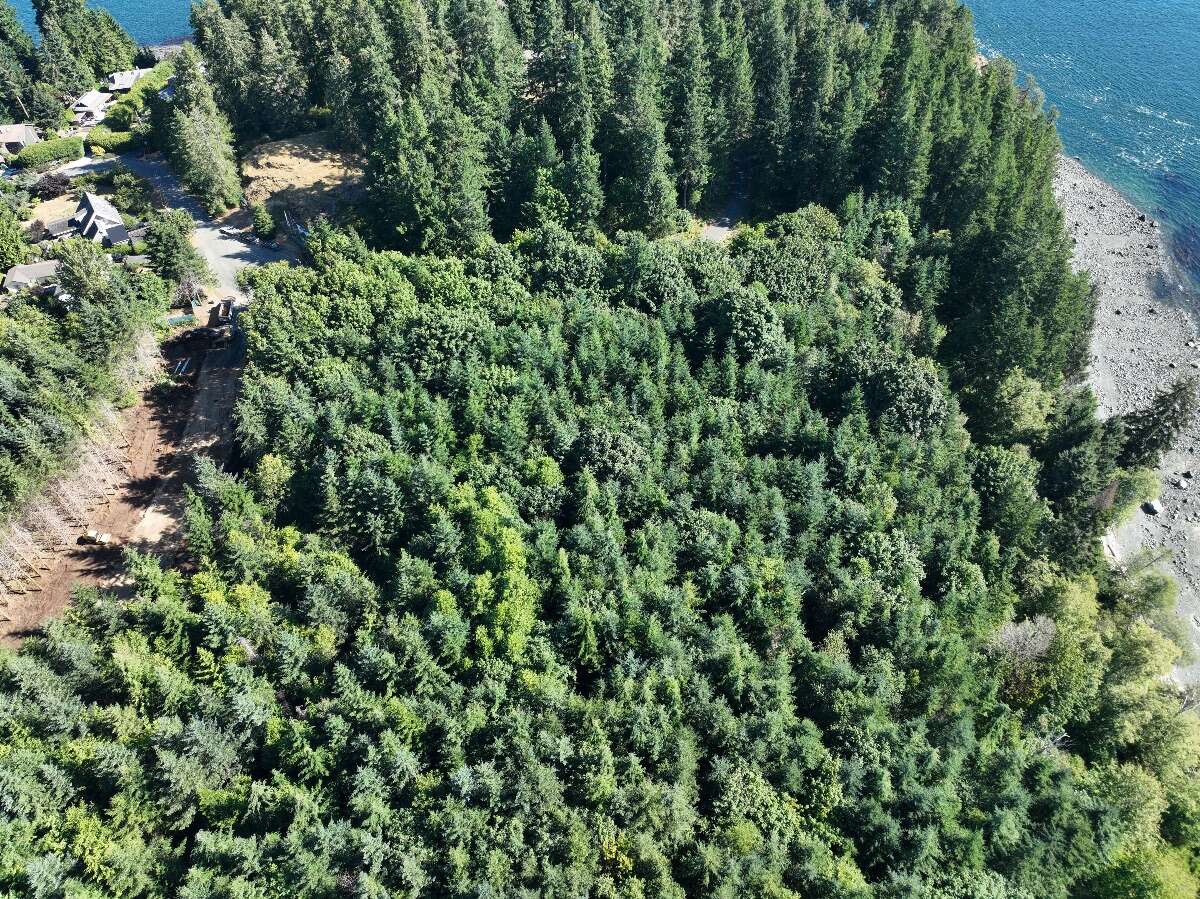 479’ Ocean Frontage in Campbell River
