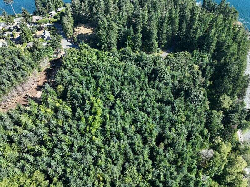 479’ Ocean Frontage in Campbell River