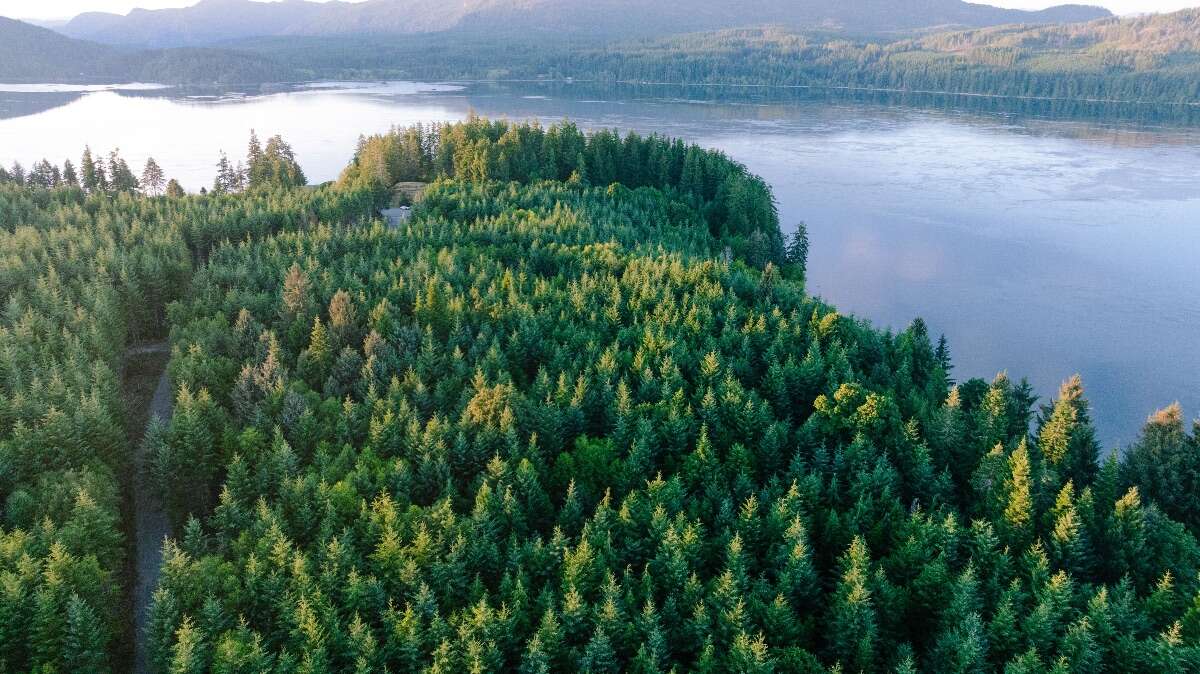 479’ Ocean Frontage in Campbell River