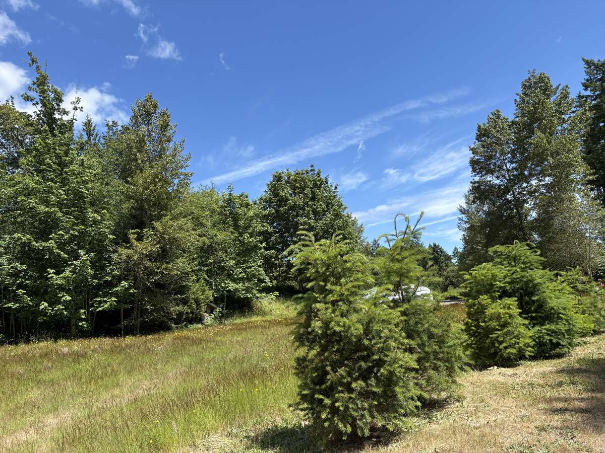 Field