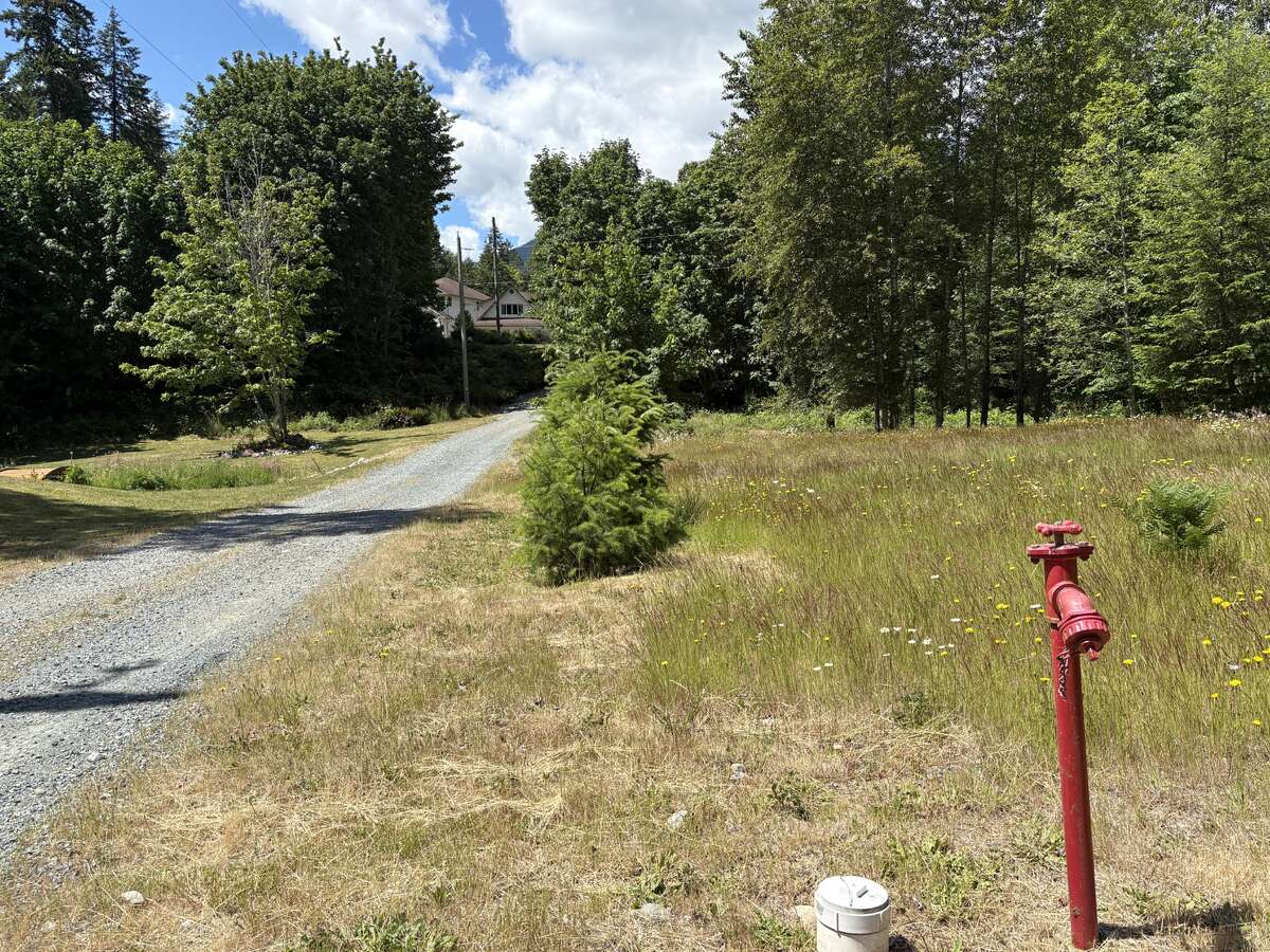 Field - Own Fire Hydrant