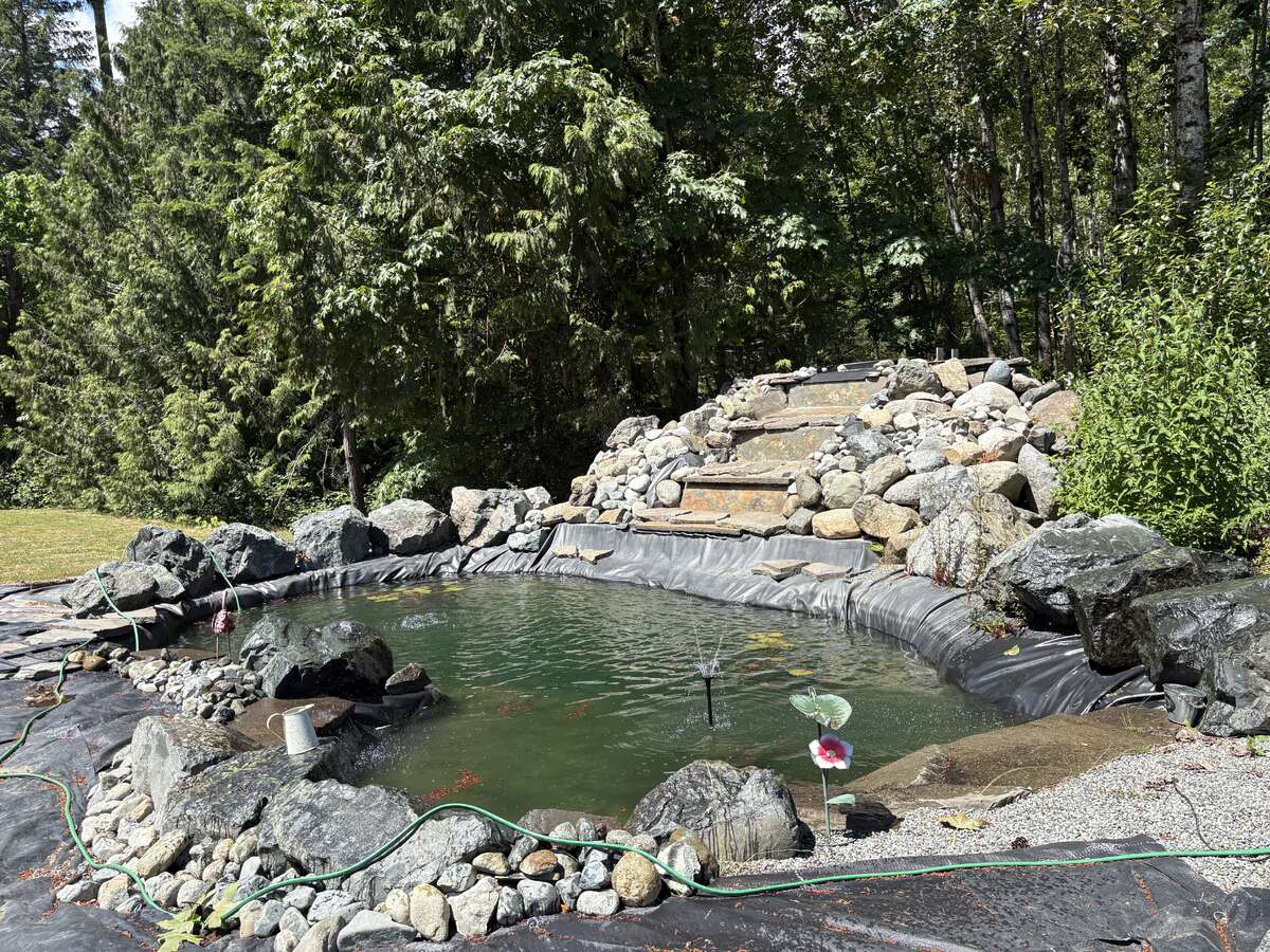 Lovely, large pond with waterfall feature