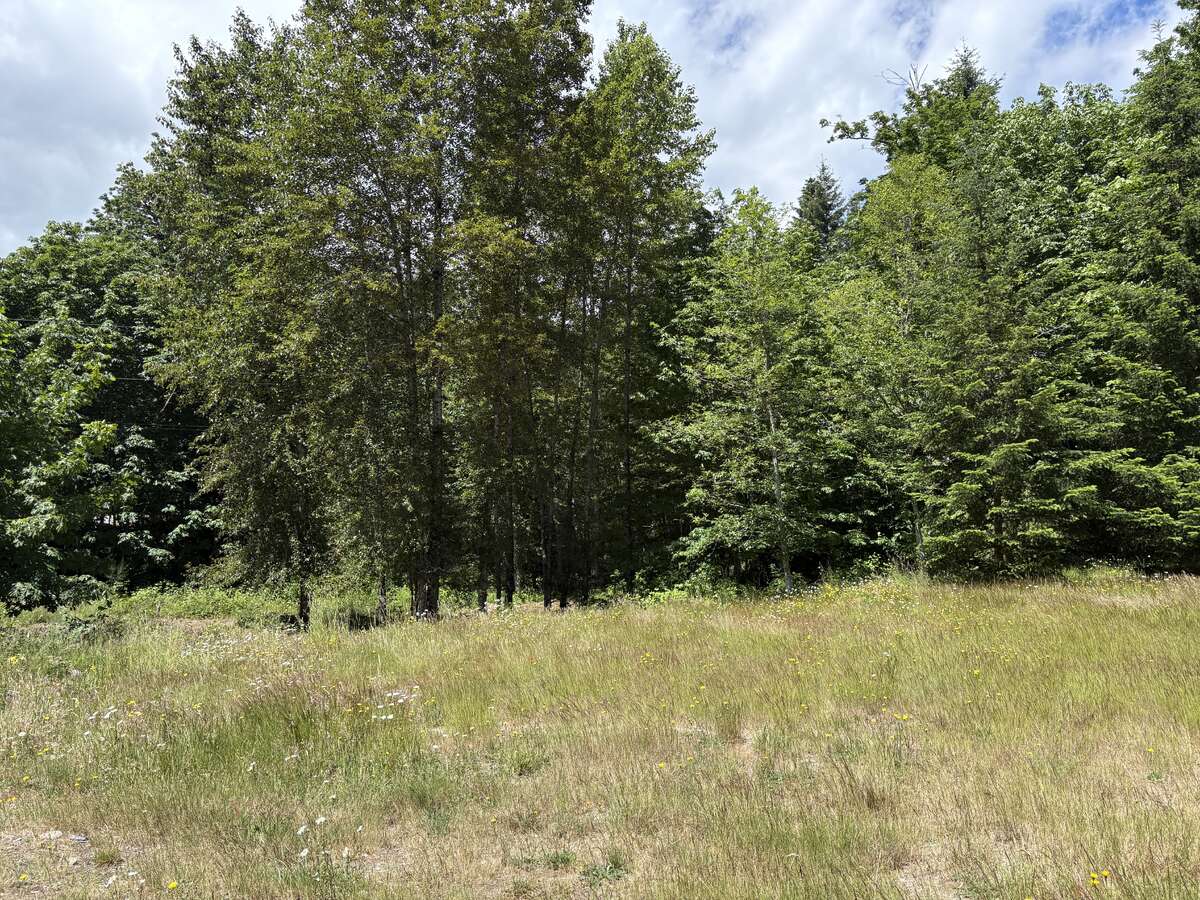 Field