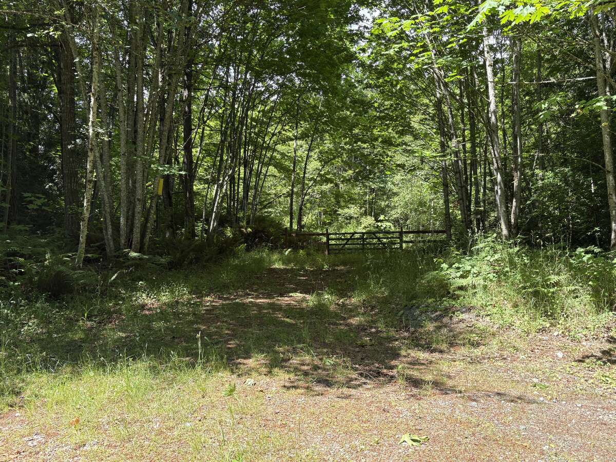 Second entrance gate to property