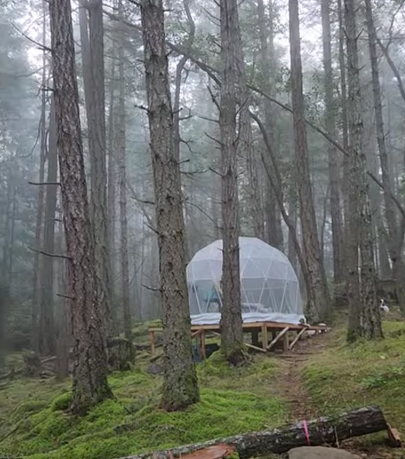 Geodome at the back of the property