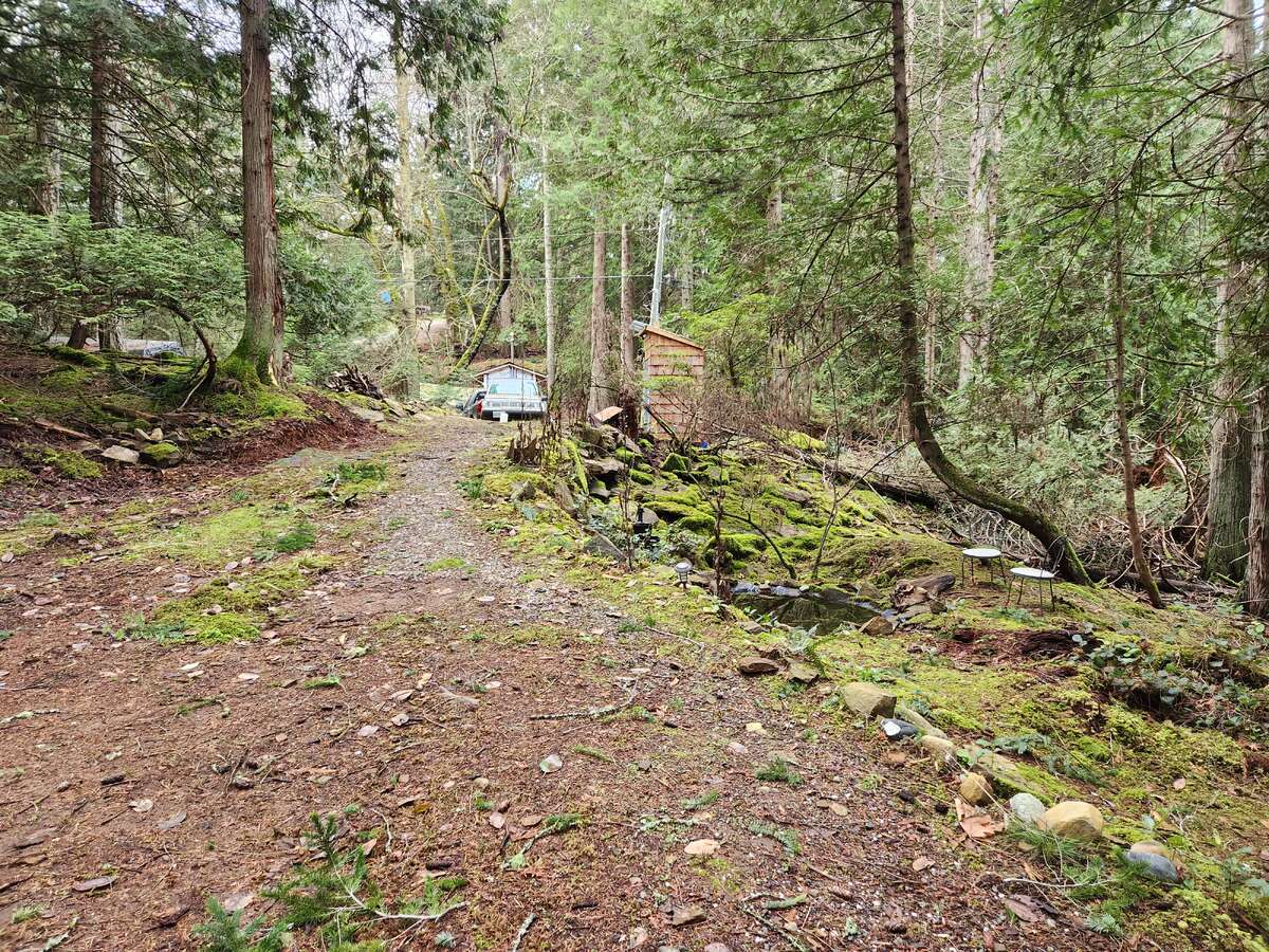 View looking towards the road from cleared area building site