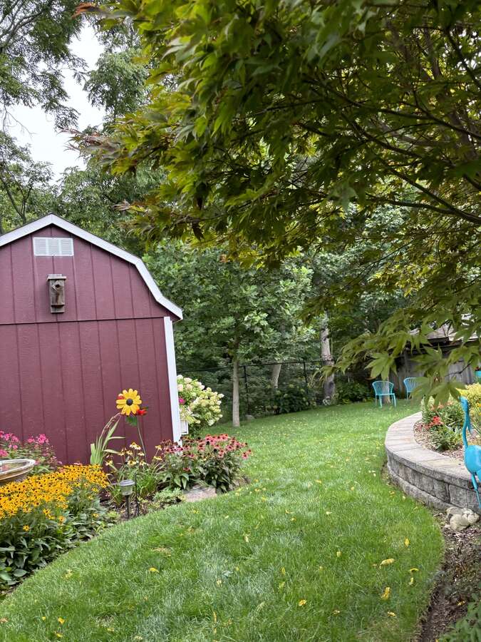 Backyard Ravine