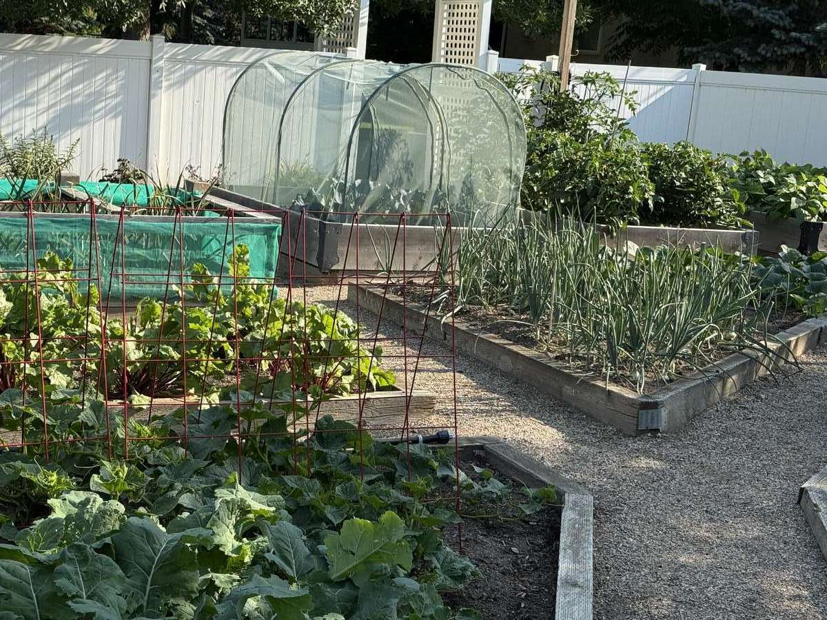 Modern Bungalow Backs Golf Course