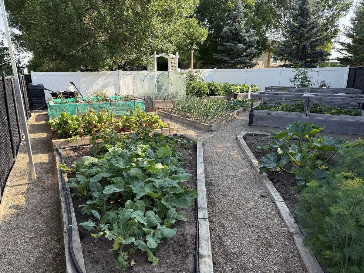 Modern Bungalow Backs Golf Course