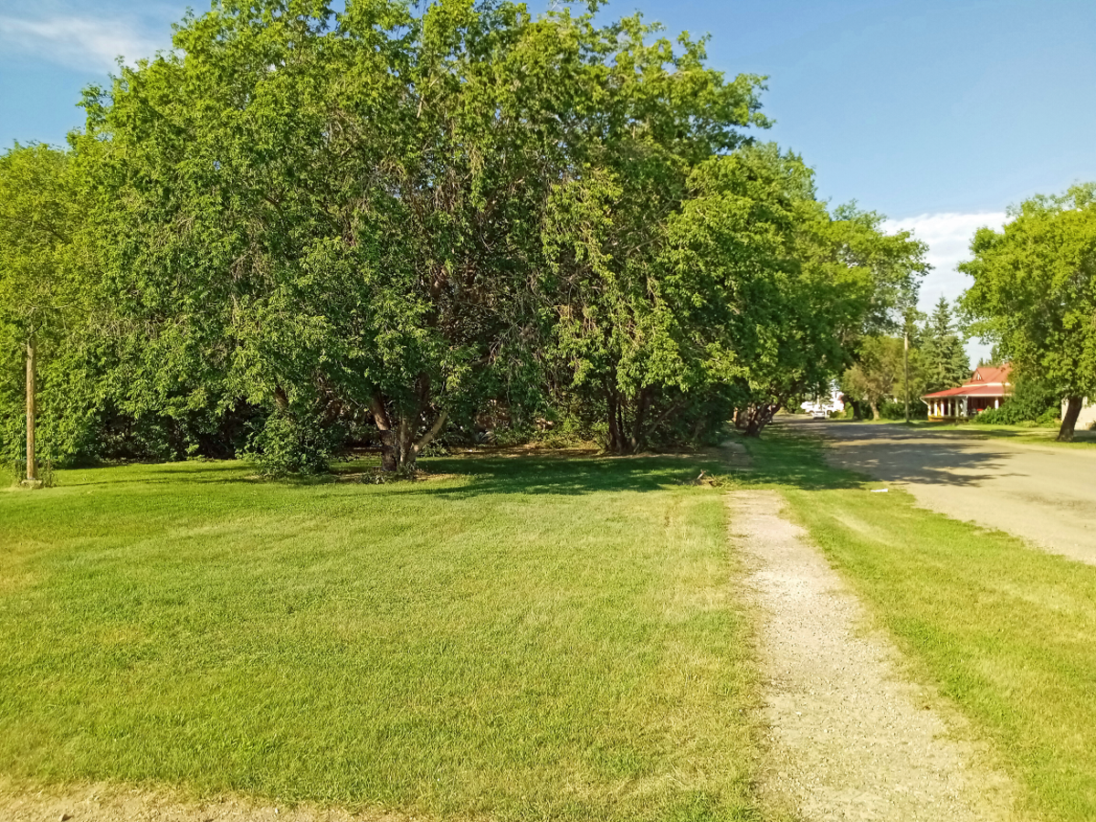 Vacant Land For Sale in Meota, SK