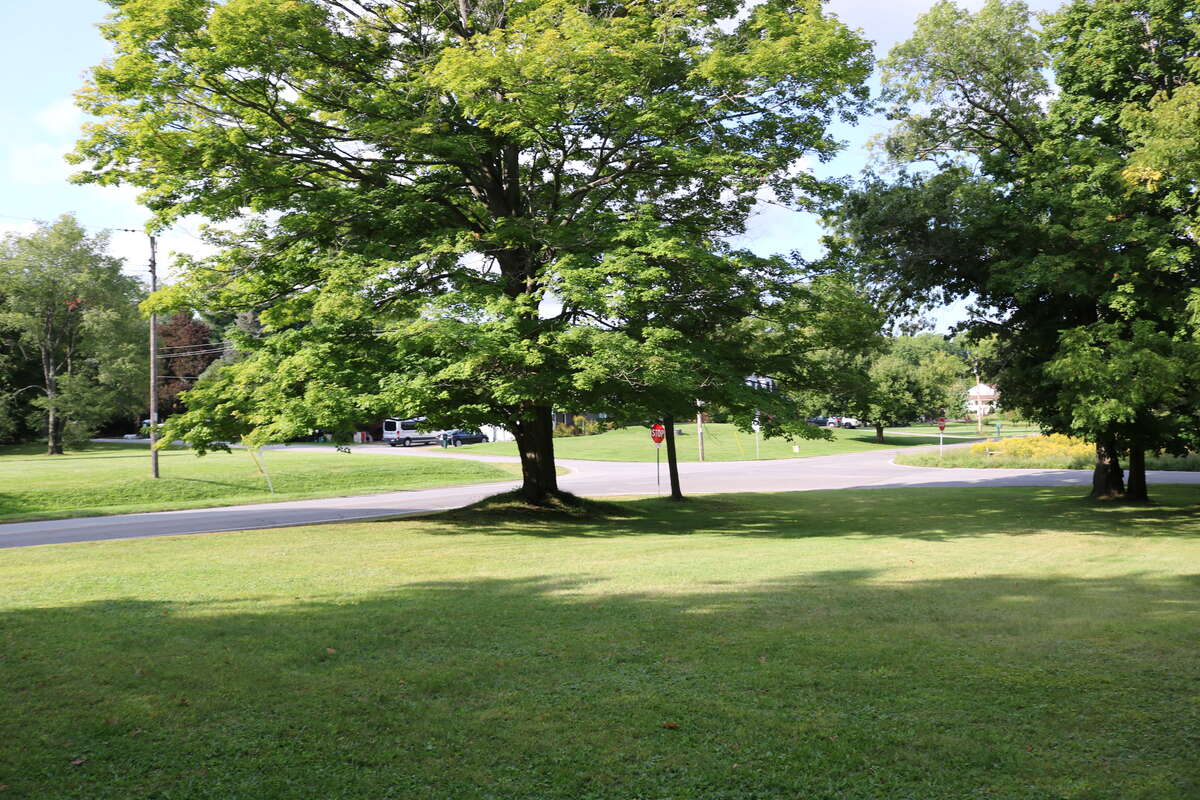 2022 crossing of Welland Road with Effingham Street