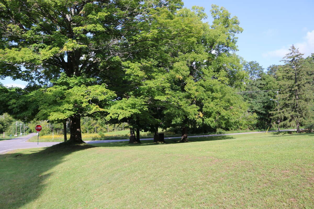 2022 view from the Welland Road