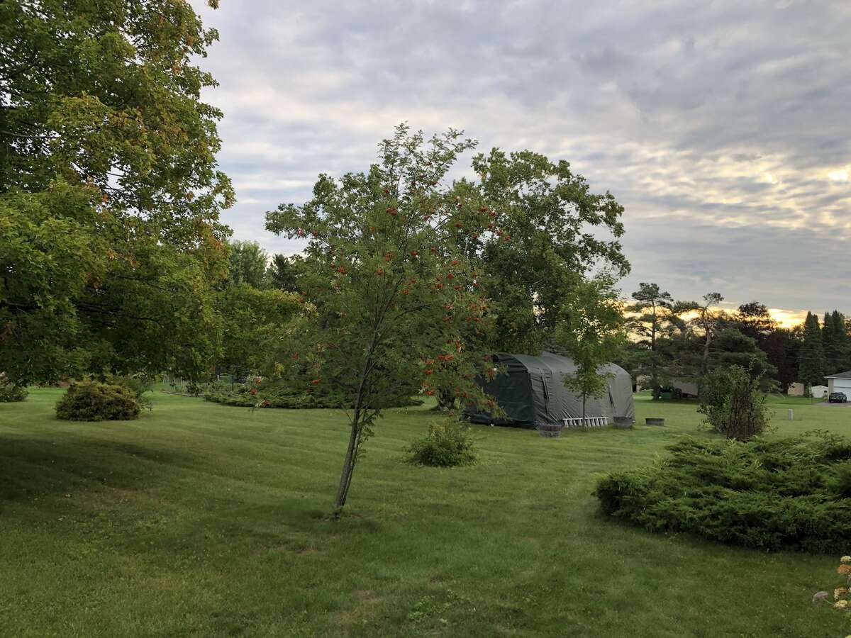 456 Old Surrey Lane, Bobcaygeon, Ontario K0M 1A0