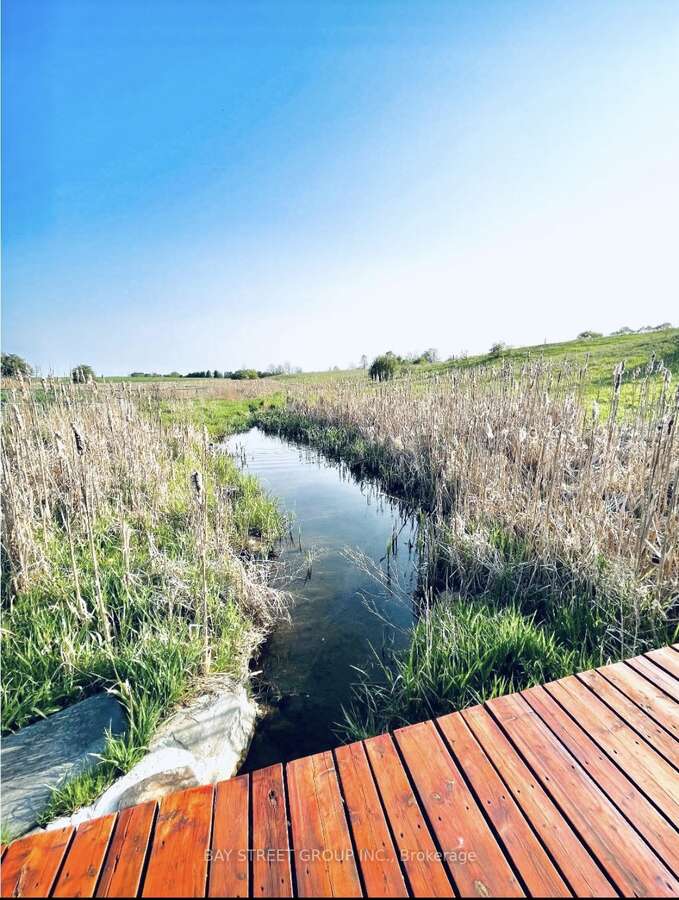 Clean stream in the land