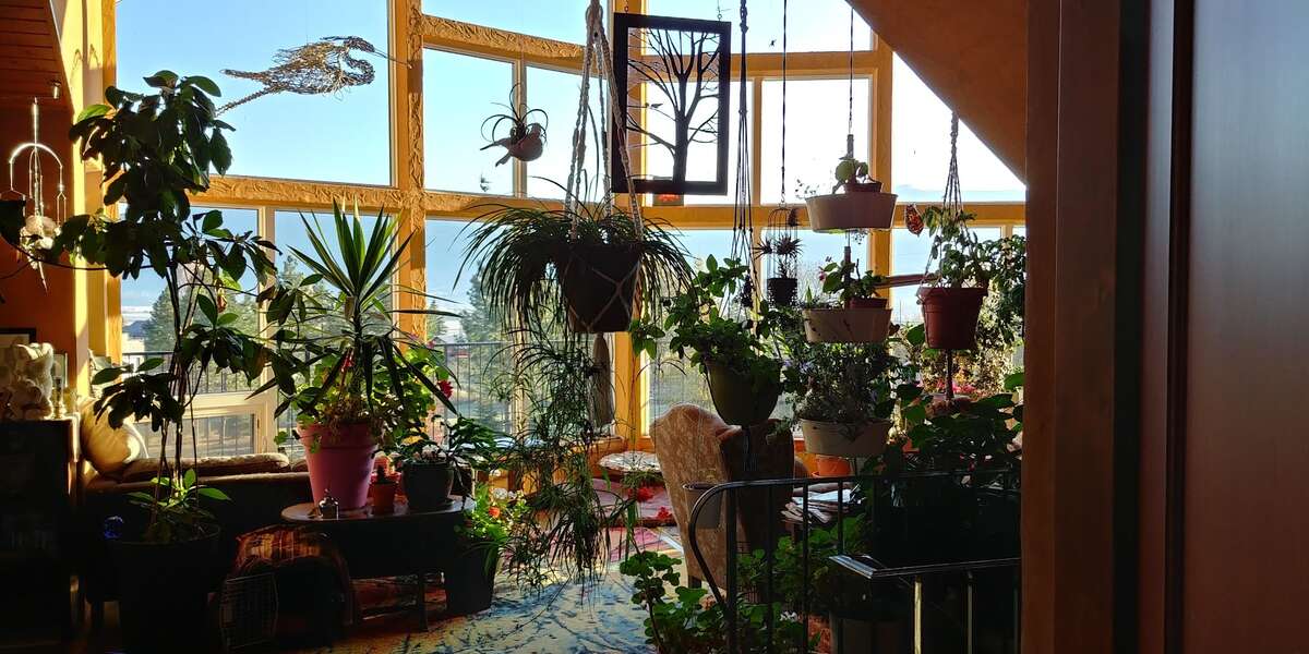 A plant wall in the living room.