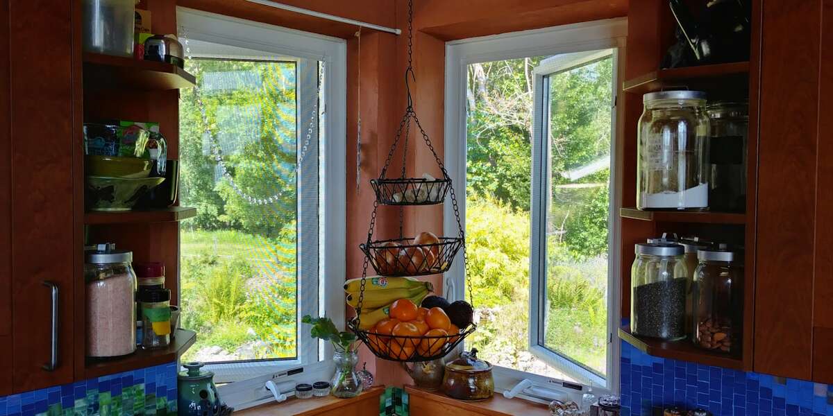 The pond landscaping is shown out the kitchen windows.