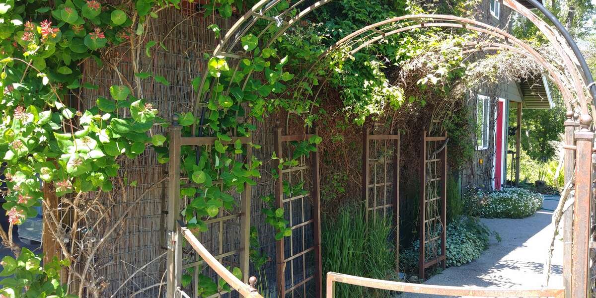 The entry to the courtyard is covered by these custom arches.  The building you see is the carport/studio.