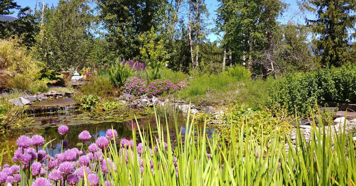 The courtyard pond.  You can glance out the corner windows in the kitchen to enjoy this view.