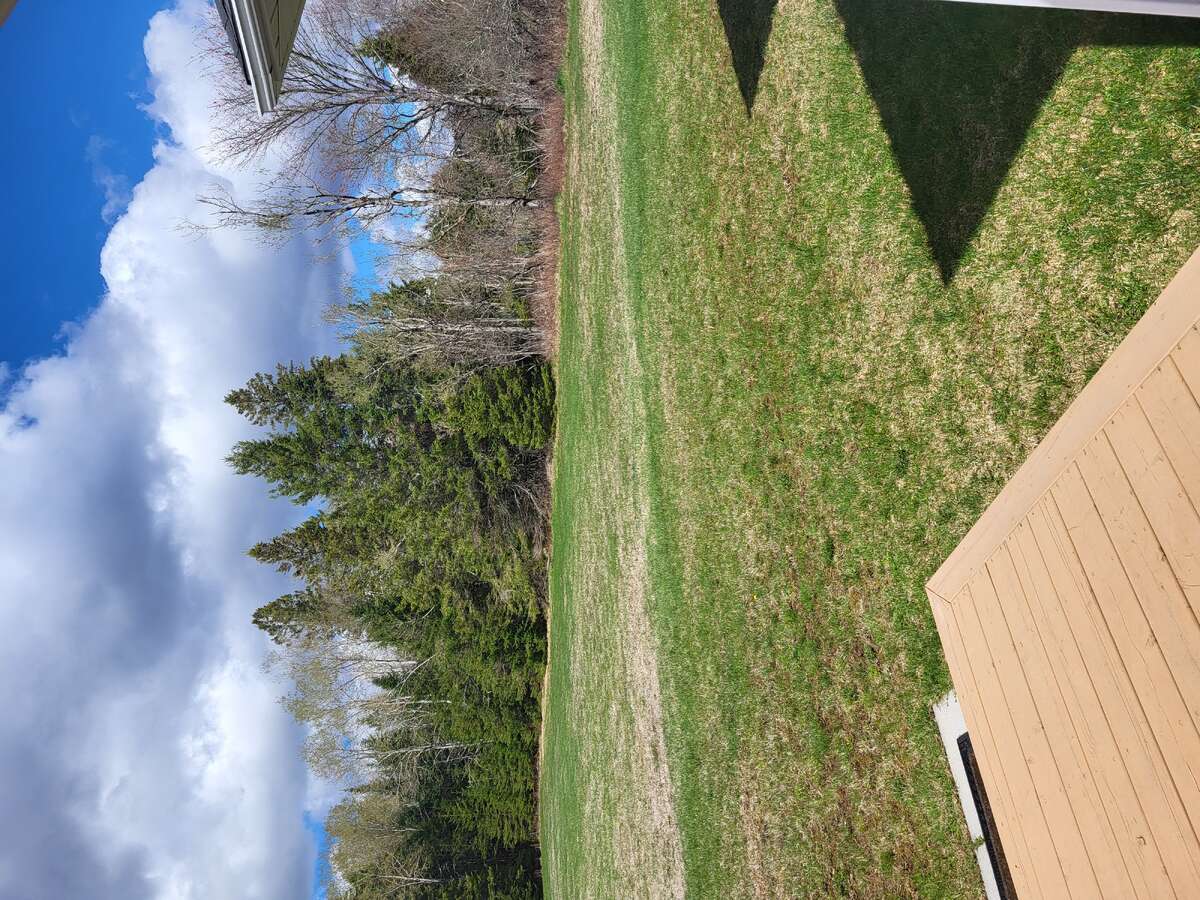 Back yard