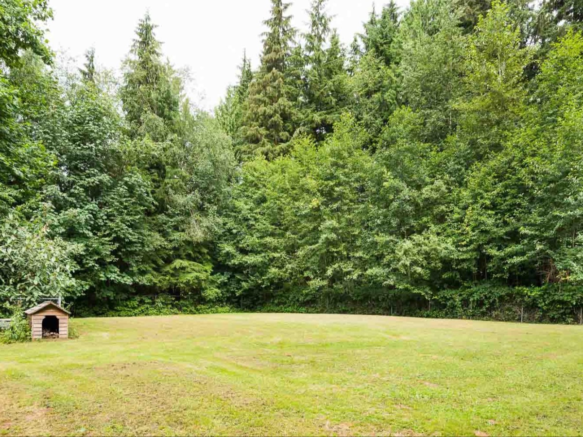 Rare Private Treed Oasis