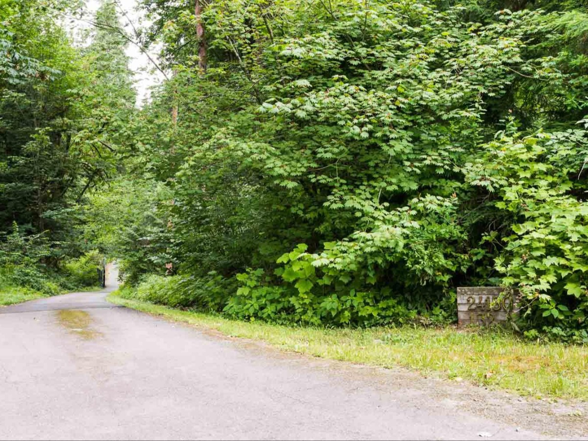Rare Private Treed Oasis