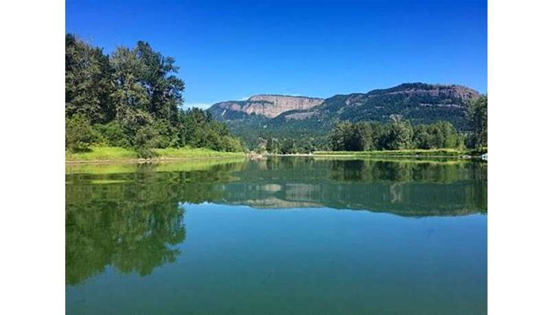 Overlooking the Enderby Cliffs and Shuswap River.