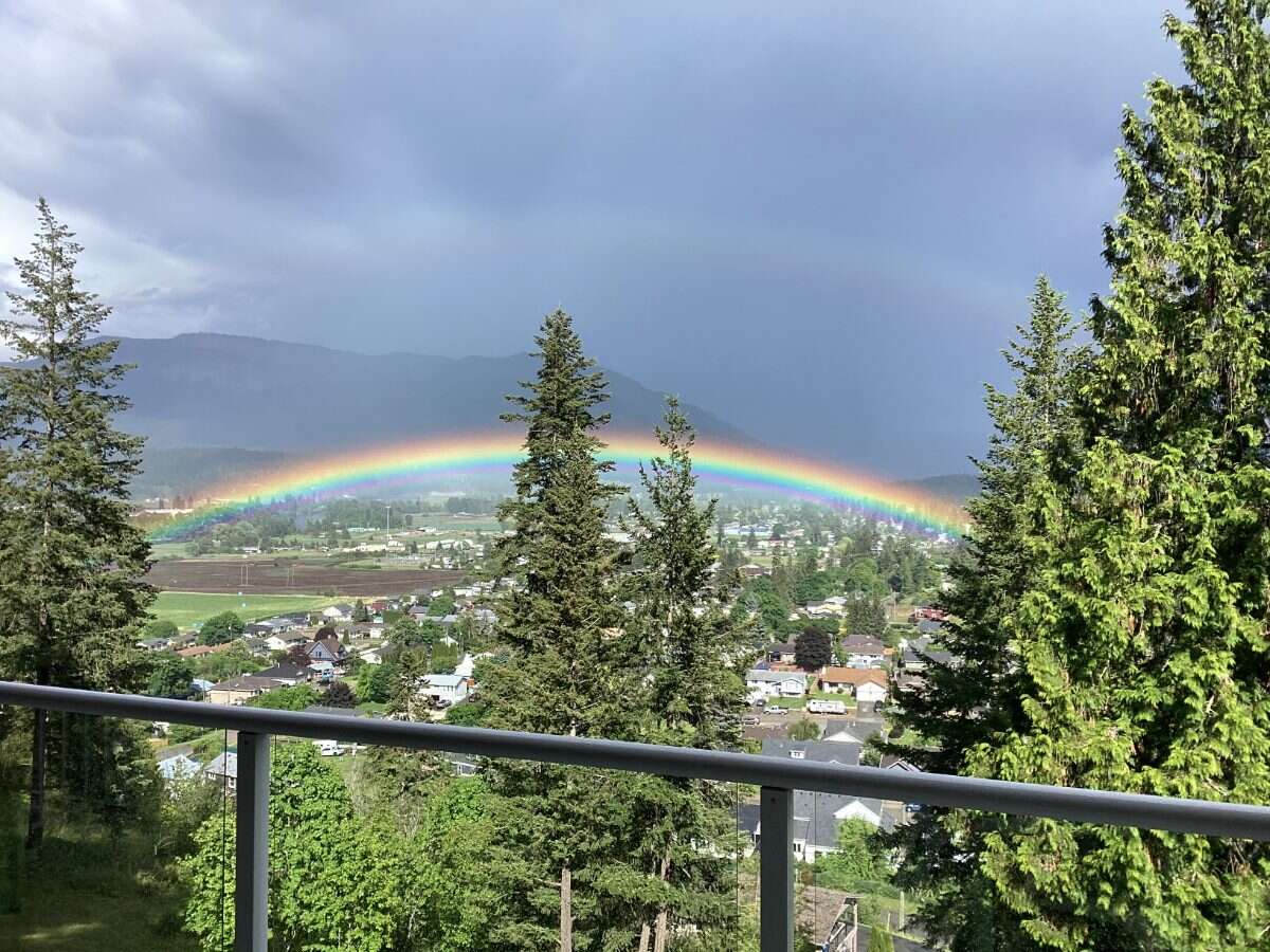 Overlooking the Enderby Cliffs and Shuswap River.