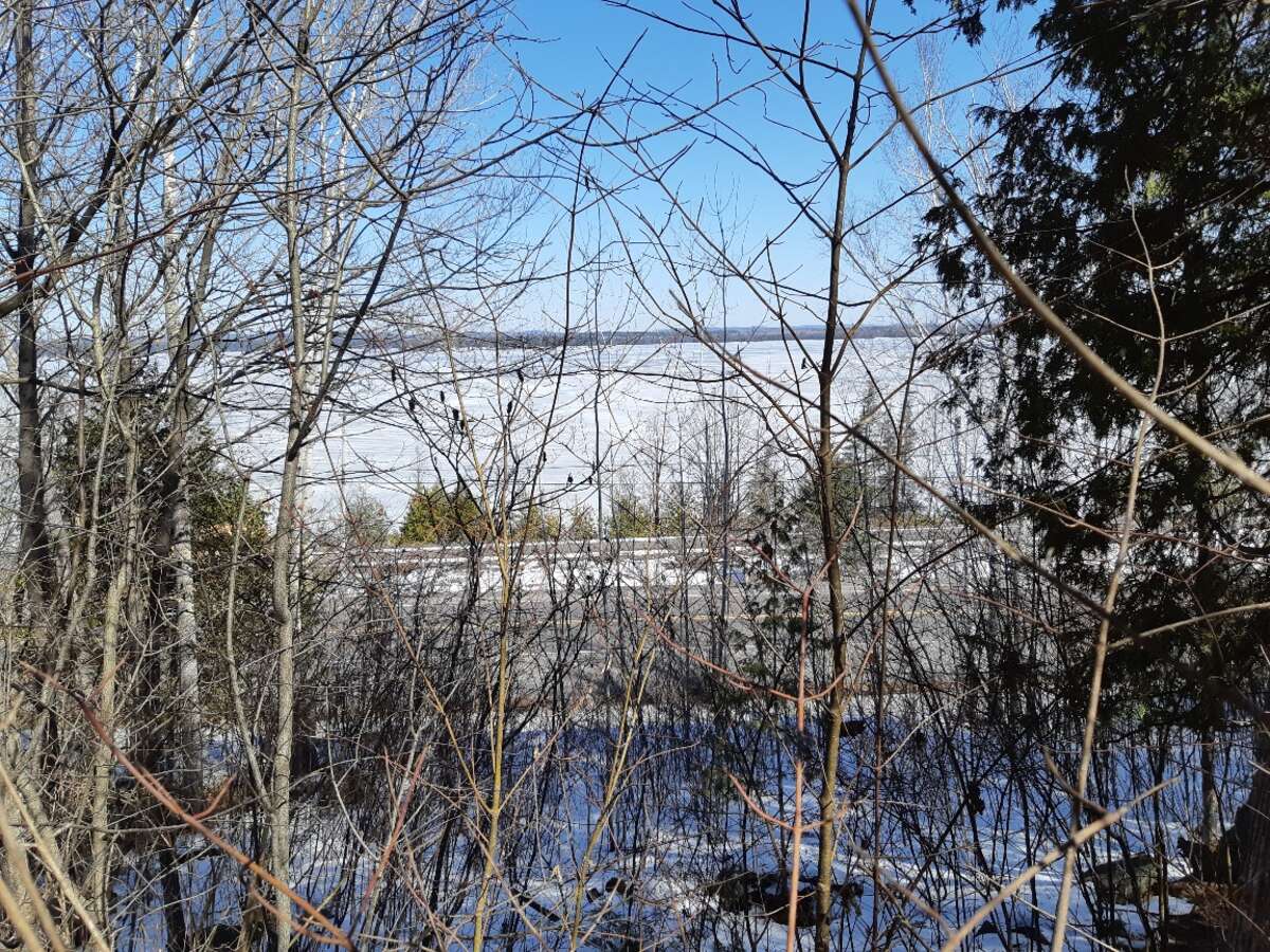 winter view