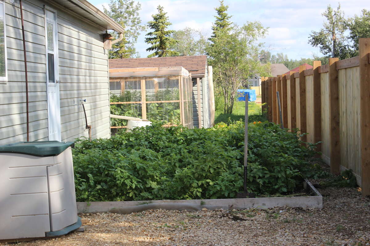Garden behind workshop