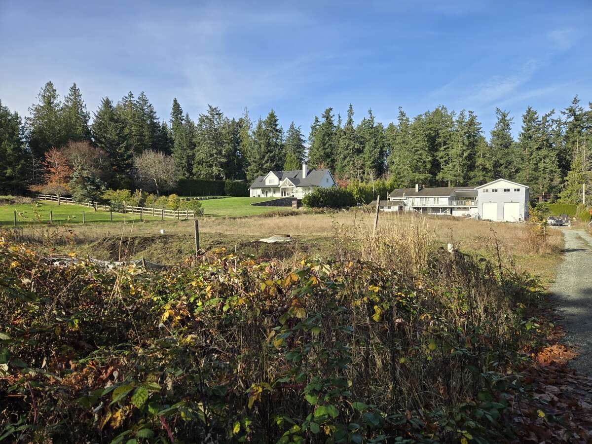 View from East edge of property looking North